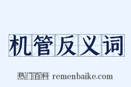 机管反义词是什么意思的图片